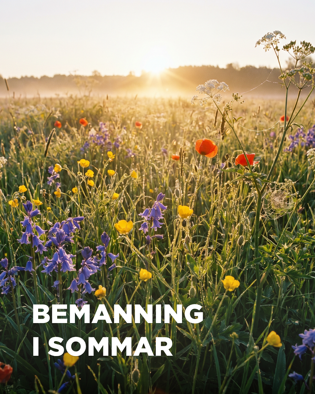 Blomsteräng med text bemanning i sommar