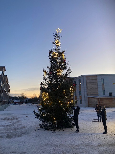 Bild på lysande julgran som personalen håller på att klä i Dahls park